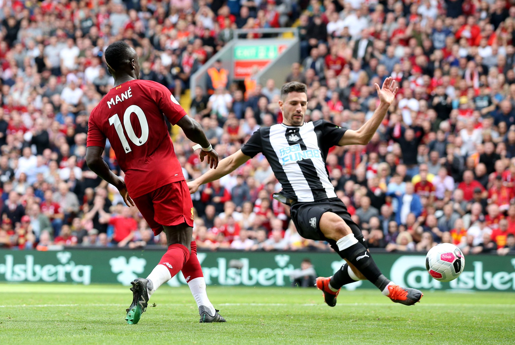 什琴斯尼的 什琴斯尼的